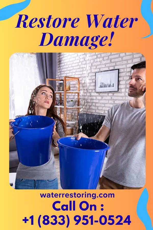 water restoration North Sewage Cleanup Contractors Tower Hill