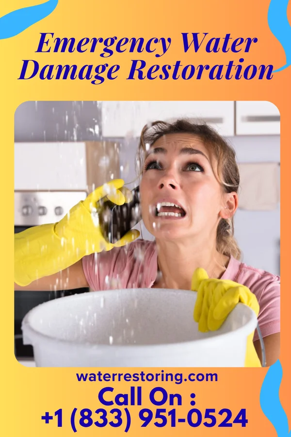 Emergency Water Damage Restoration in Tower Hill, IL