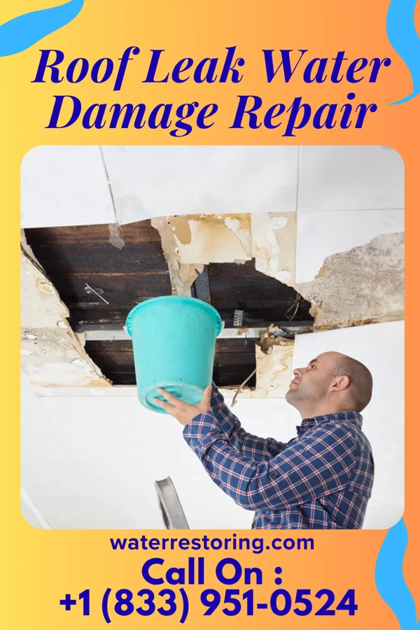 Roof Leak Water Damage Repair in Tower Hill, IL